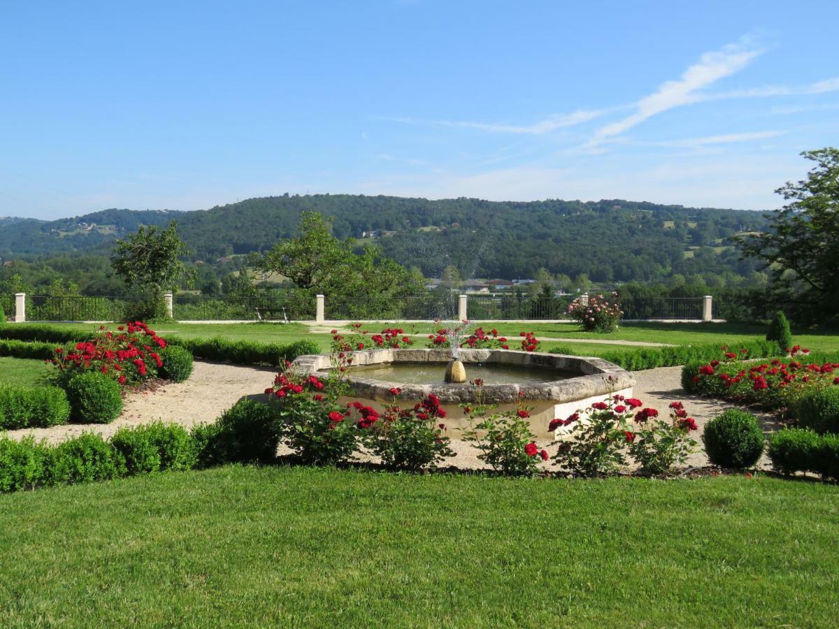 Chateau De Gaubert Bed and Breakfast Terrasson Exterior foto