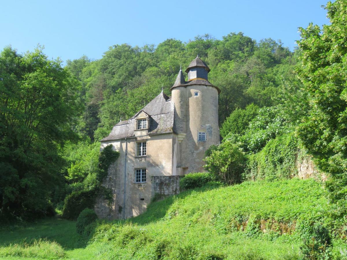 Chateau De Gaubert Bed and Breakfast Terrasson Exterior foto