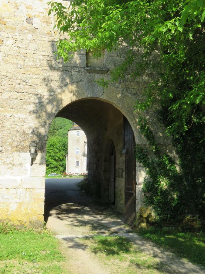 Chateau De Gaubert Bed and Breakfast Terrasson Exterior foto