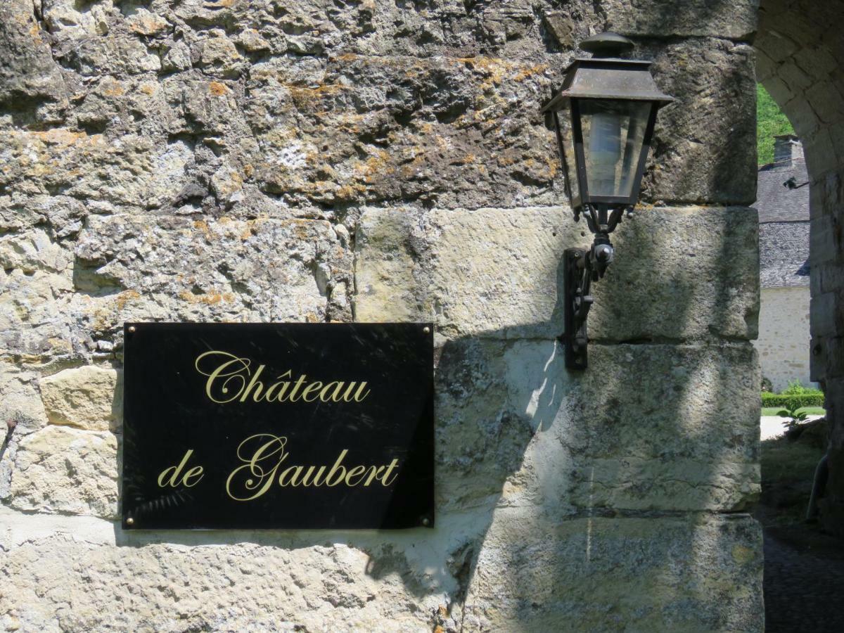 Chateau De Gaubert Bed and Breakfast Terrasson Exterior foto